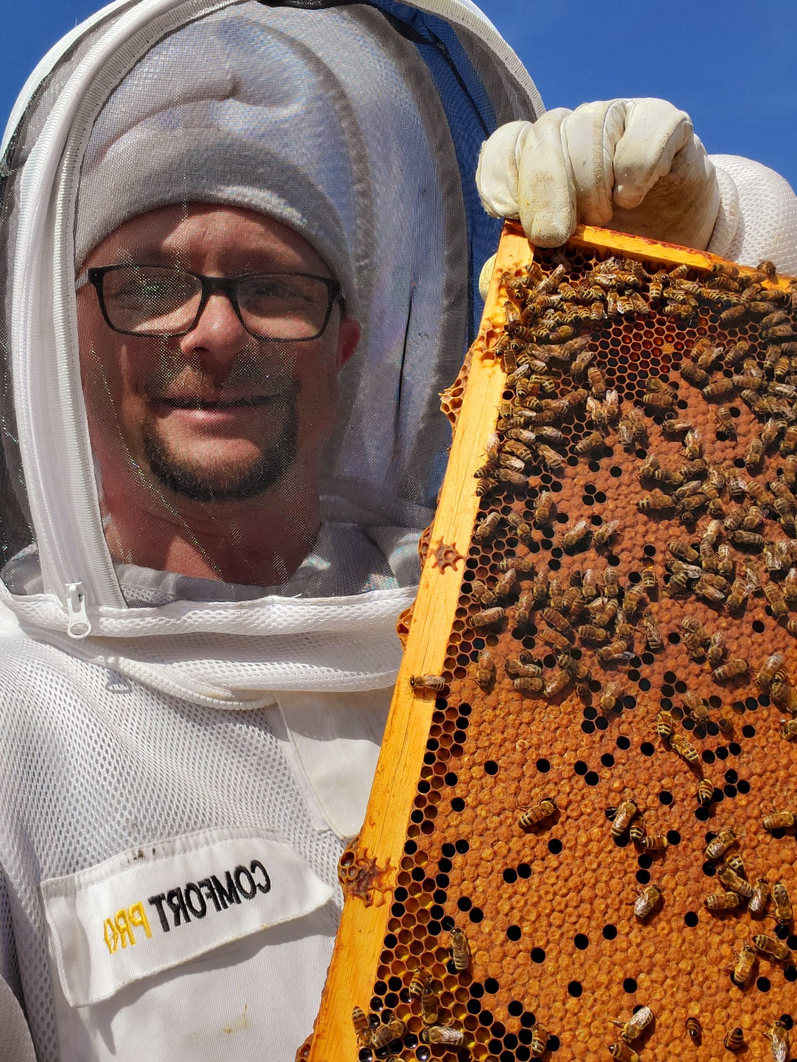 Will holding a healthy brood frame covered with honey bees